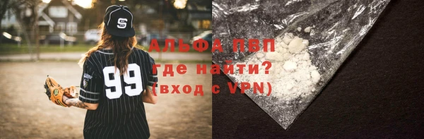 прущие грибы Нея