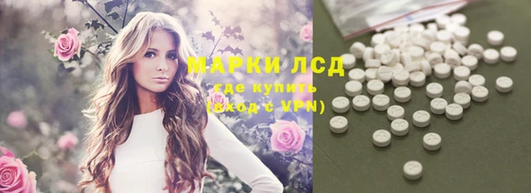 прущие грибы Нея