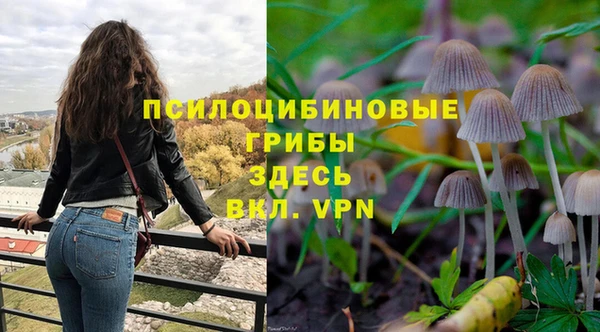 индика Магадан