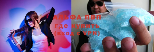 прущие грибы Нея