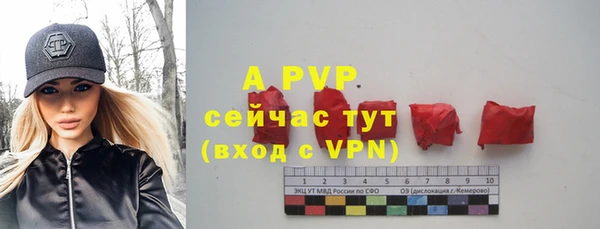 крисы Билибино