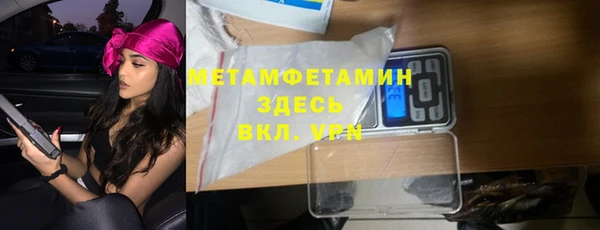 прущие грибы Нея