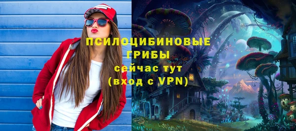 дмт Нефтегорск