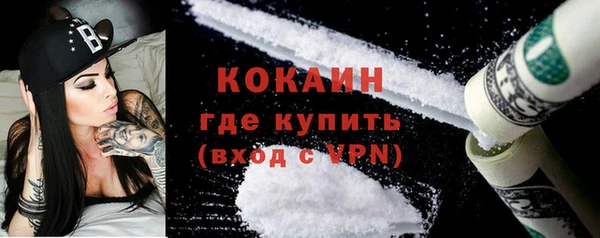 прущие грибы Нея