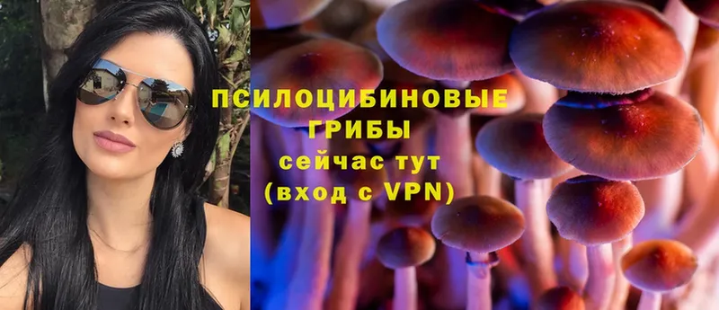 ссылка на мегу рабочий сайт  Дно  Псилоцибиновые грибы Magic Shrooms  как найти наркотики 